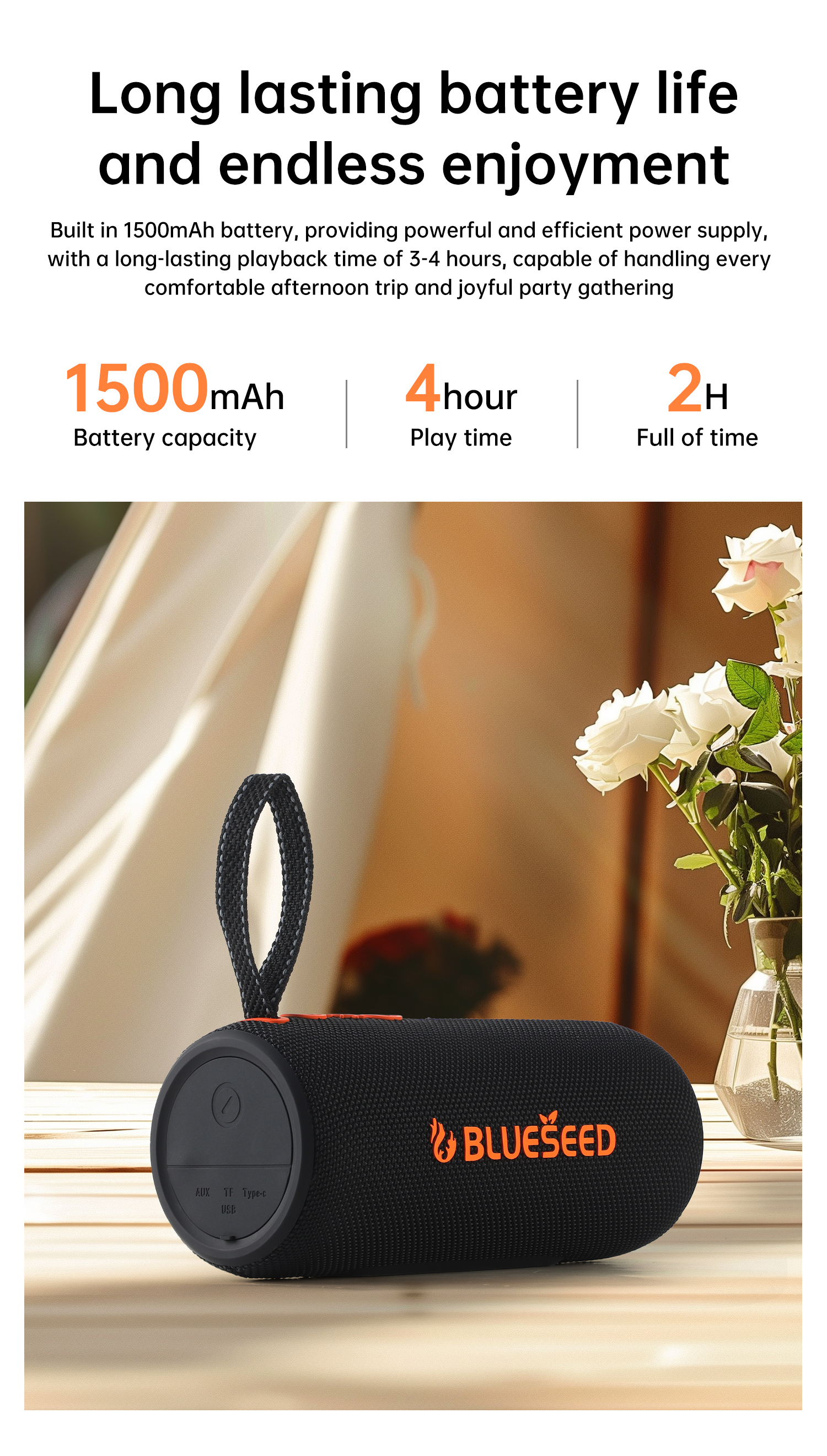 Колонка Bluetooth Blueseed BS-302 black