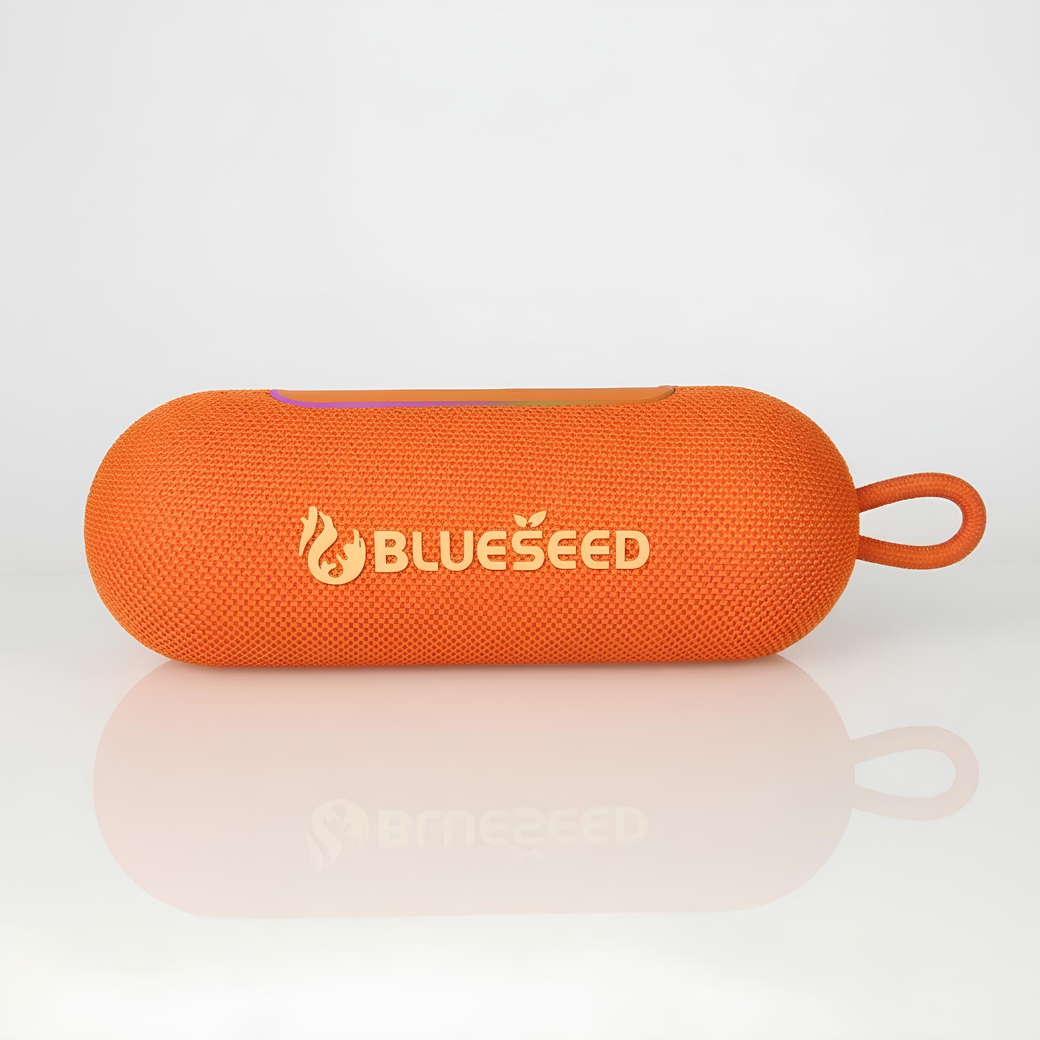 Колонка Bluetooth Blueseed BS-318 orange