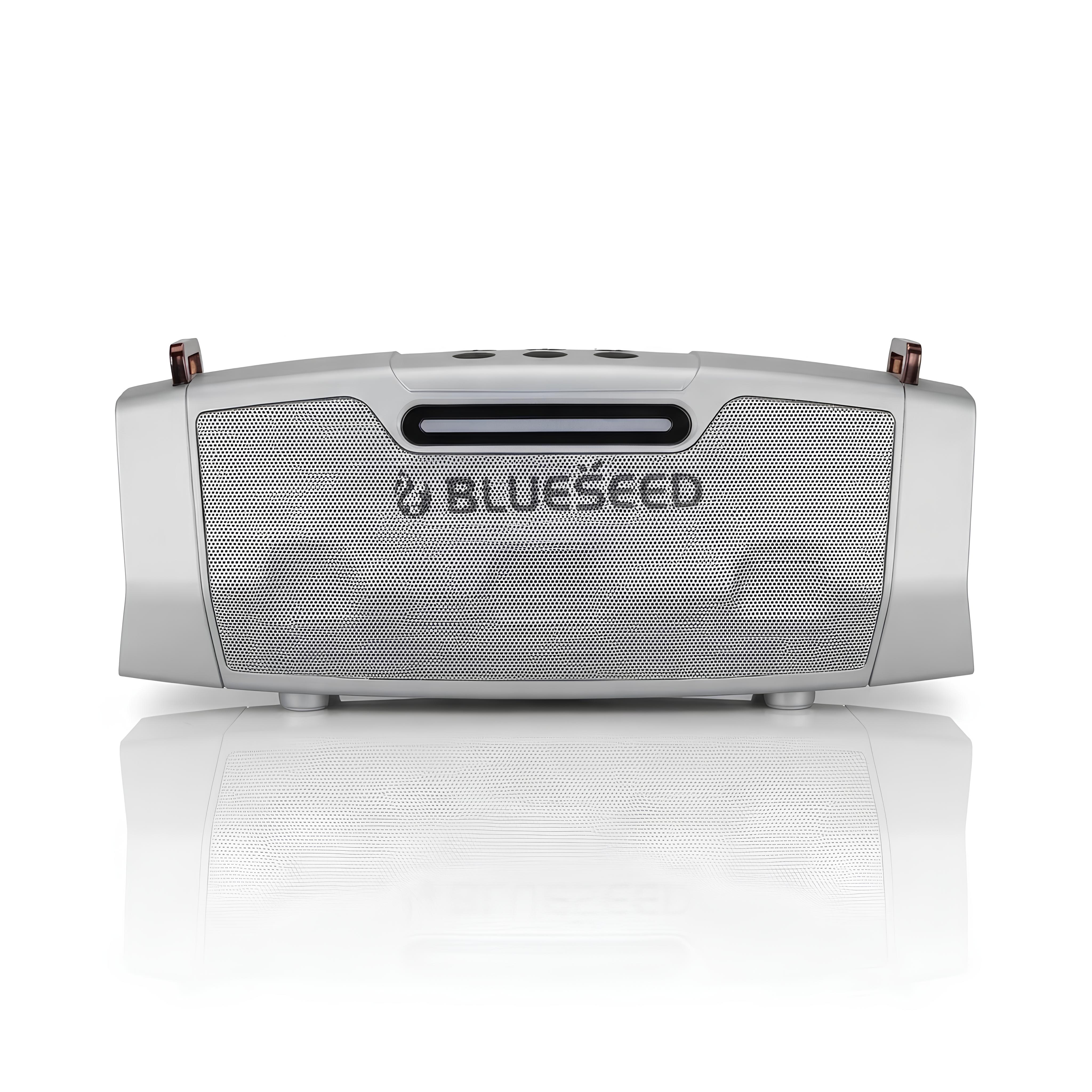Колонка Bluetooth Blueseed BS-602 silver